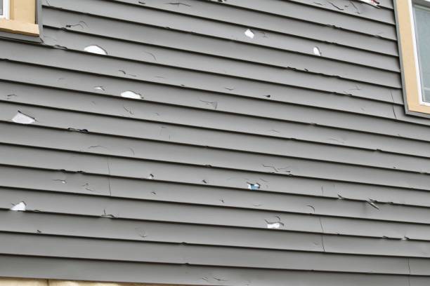 Professional Junk Removal in American Fork, UT